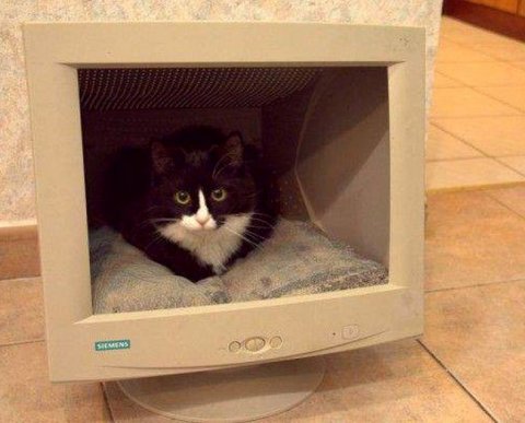 Искусственный интеллект будут развивать при помощи налоговых инструментов