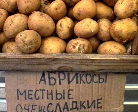 Вычет НДС при ввозе товара из ЕАЭС не зависит от отметки налоговой на заявлении - суд