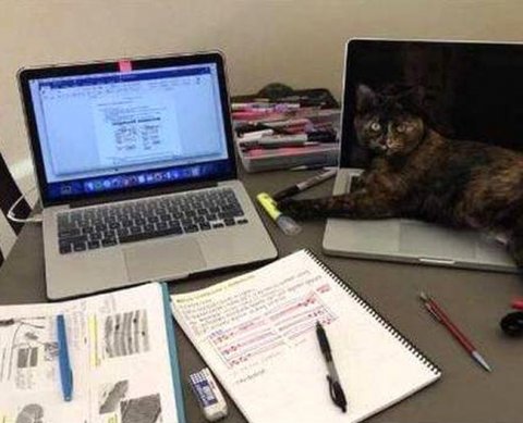 Новые форматы электронной первички: ФНС обещает к концу года +15 видов документов