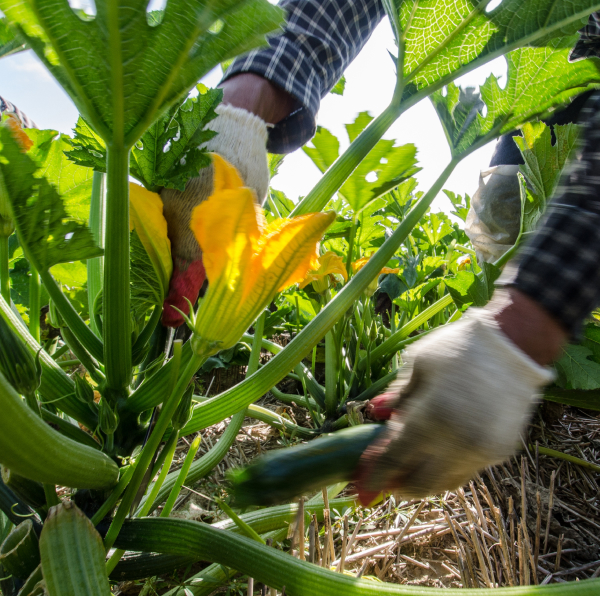 Сумма сделок