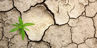 Saxo Bank предсказал зарождение сырьевого суперцикла длиной в десятилетие