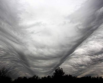 Единый налоговый счет для бизнеса: ФНС рассказала о плюсах, но всегда есть "но"