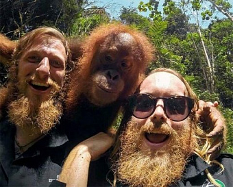 Появился проект поправок в НК, касающихся страхвзносов, в связи с объединением фондов