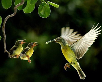 Если уведомить о переходе на АУСН не сразу после регистрации фирмы/ИП: как платить