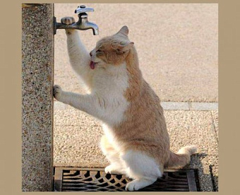 Наиболее важные новости недели 9-11 марта 2022 года