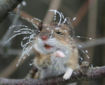 Как можно быстро разблокировать "замороженные" из-за долгов счета