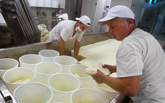 Путин раскритиковал бюрократию в кредитовании фермеров