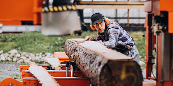 Акционеры «Сегежи» одобрили сделку с Bonum по покупке «Интер Форест Рус»