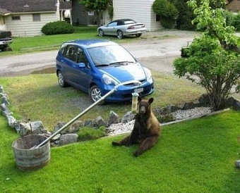 Исправленную бухгалтерскую отчетность в этом году можно сдать 1 августа