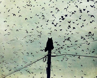 Как посчитать сумму, освобождаемую от НДФЛ в связи с субсидией на нерабочие дни