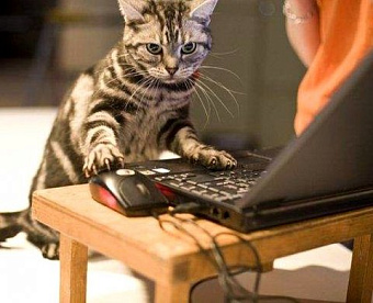 ФНС рассказала о преимуществах регистрационных действий в онлайн