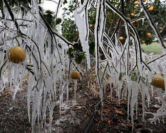 Налоговики прошлёпали платежку и заморозили счета фирмы - но наказать их рублем не вышло