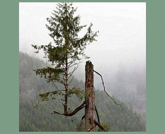 Даниил Егоров рассказал, что ФНС делает для бизнеса, и как власти поддержат граждан