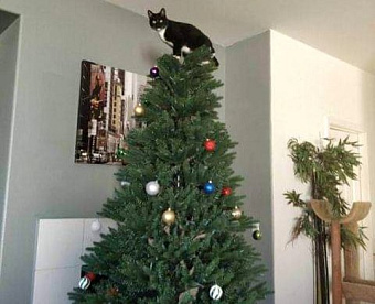 Росстат разъяснил, когда надо сдавать первую отчетность в январе 2022 года