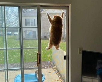 Депутаты предлагают отменить предельную базу по страховым взносам