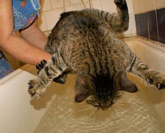 ВС напомнил, что банки не должны наживаться на сомнительных операциях клиента