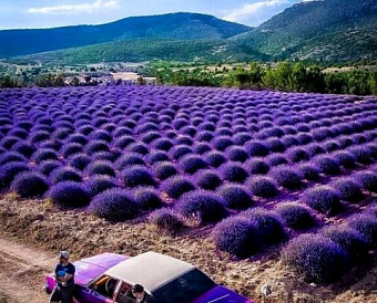 Разделение участка не препятствует применению оспоренной кадастровой стоимости