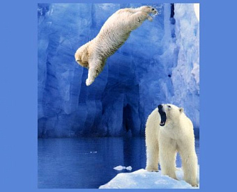 ФНС напомнила, в каких случаях ИП признают недействующим и исключат из ЕГРИП