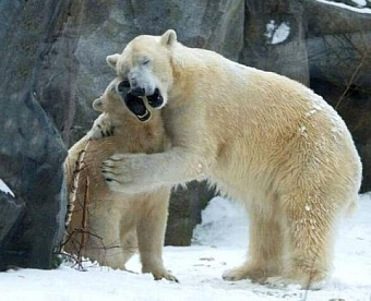 Свою информацию можно будет вывести из-под режима налоговой тайны: закон подписан