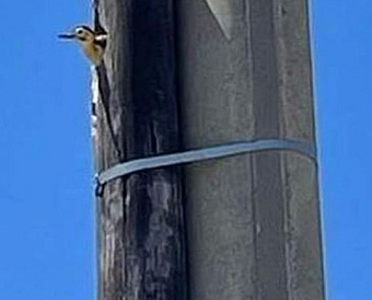 Движимость или недвижимость и другие споры по налогу на имущество: новый обзор ФНС