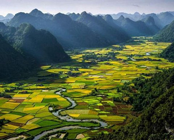 В этом году не будет проверок земельного надзора: как это повлияет на налог