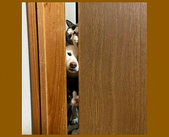 Подписан закон о введении единого налогового счета для бизнеса