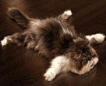 Росстат переносит сроки сдачи 16 форм отчетности на 9 ноября 2021 года