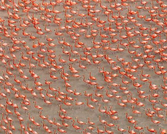 Оператор заблокировал IP вашей ККТ для своей защиты от DDoS-атаки: что делать