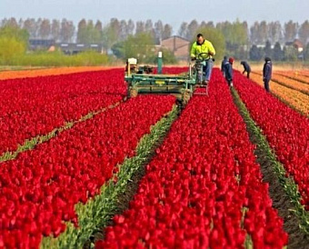 Можно ли заменить штраф предупреждением, если ранее имело место нарушение других норм