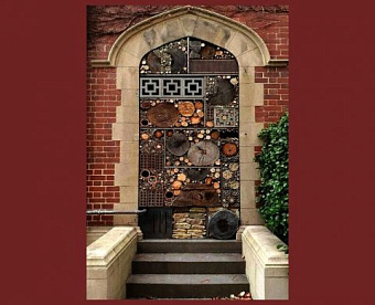 ЦБ определился, какие сведения будут раскрывать аудиторские организации на финрынке