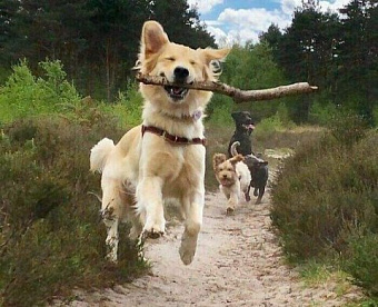 Регион снизил ставку для УСН "доходы-расходы": платить ли минимальный налог