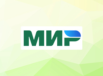 Граждане РФ получат по 100 тыс. рублей на карту «Мир»