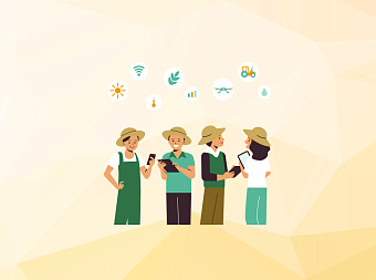 Россия может остаться без урожая!