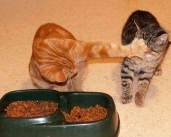 Подготовлен проект постановления об ограничении доступа к бухотчетности с 2023 года