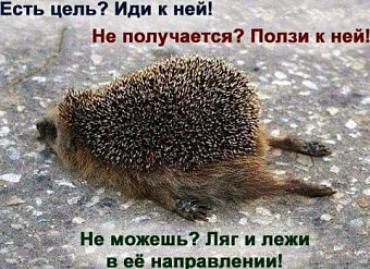 Эксперимент по автоматизированной УСН - теперь закон: Путин подписал