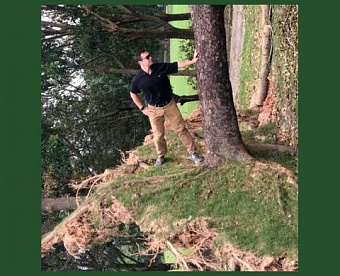 ФНС утвердила коды доходов и вычетов для тех, кто перейдет на АУСН