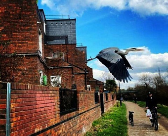 Росреестр будет сообщать налоговикам, когда кадастровую стоимость приравняли к рыночной