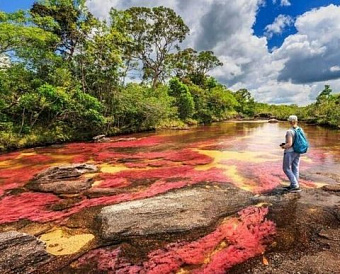 ФНС запустила промостраницу, которая поможет разобраться в применении АУСН