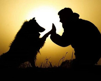 В личных кабинетах ЮЛ и ИП теперь можно добавить контрагентов "в друзья"