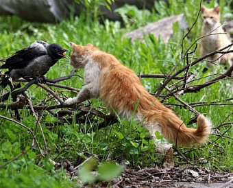 Узнать о надзорной проверке в отношении себя и подать жалобу можно будет по QR-кодам