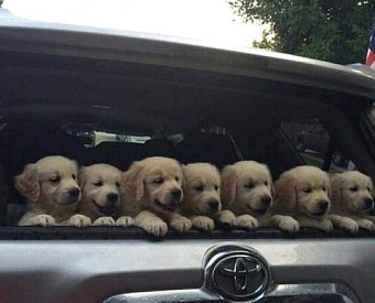 За 1 квартал 2022 года 4-ФСС надо сдавать все ещё по старой форме