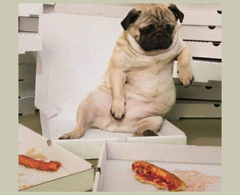 Фирма платит за питание - какой день считать датой получения работниками дохода